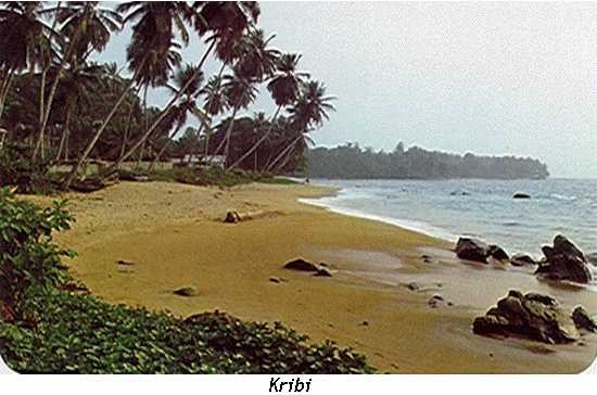 Kribi
